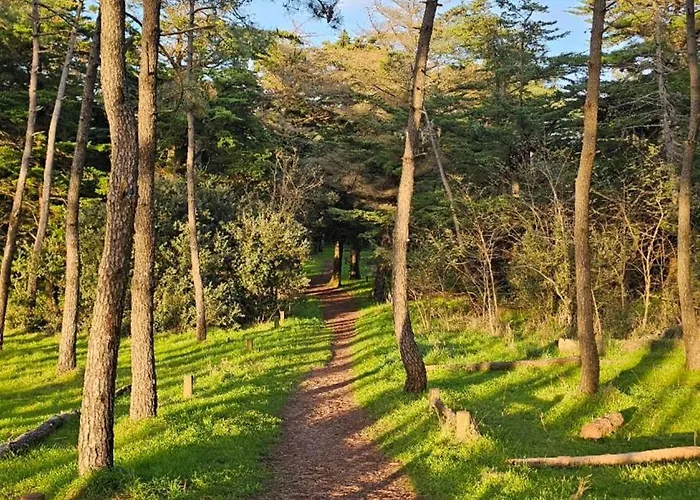 Maison 30m2 Wifi 9mn A Pied Presidents Draps Fournis Pour Le Lit Pour 2 Nuits Reservees Prázdninový dům